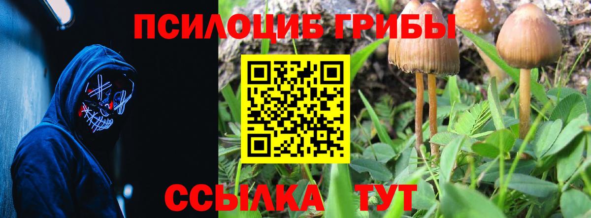 Галлюциногенные грибы прущие грибы  Псилоцибиновые грибы Magic Shrooms  Вход с VPN  Лабинск 