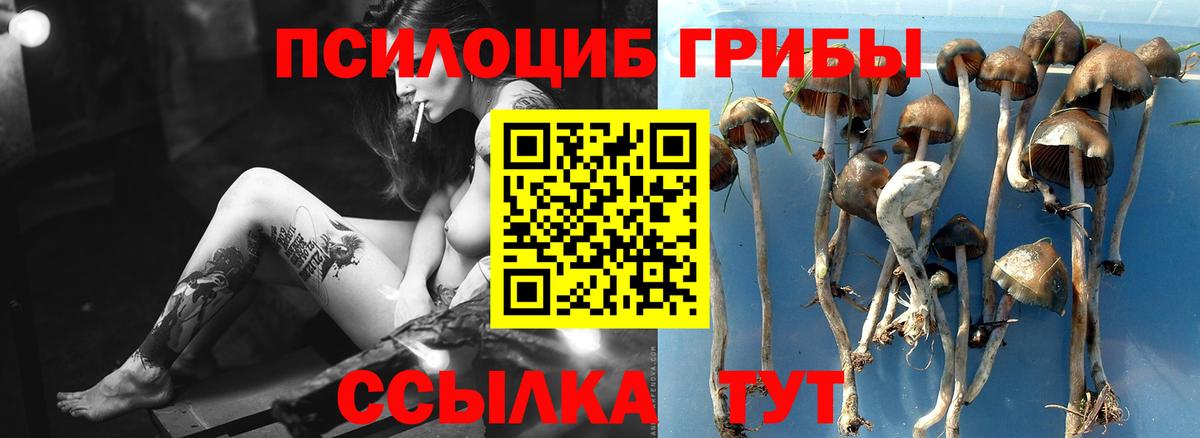 Псилоцибиновые грибы ЛСД Лабинск